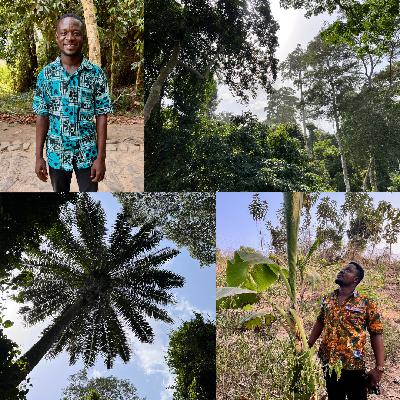 EarthStory in Ghana Part 3: You can't eat money, but you can eat plants. (Podcast) EarthStory in Ghana Part 3: You can't eat money, but you can eat plants. (Podcast)