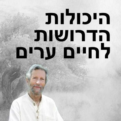 מידת הסבלנות - לתת לחיים עצמם לקבוע את הקצב
