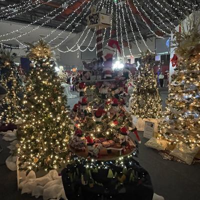 VCF News: Festival of Trees Nov 15 - 19; Spec Event Tix on Sale Tues 10 AM