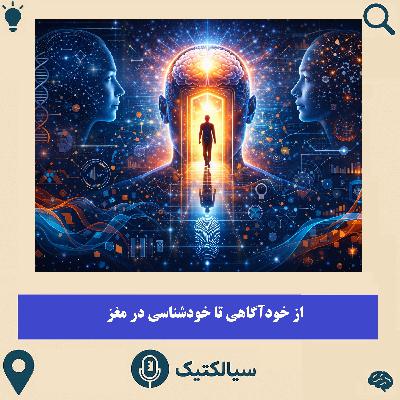 سیالکتیک: از خودآگاهی تا خودشناسی در مغز