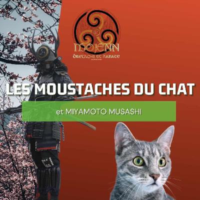 Podcast - Les Moustaches du Chat & Musashi 🐈⛩️