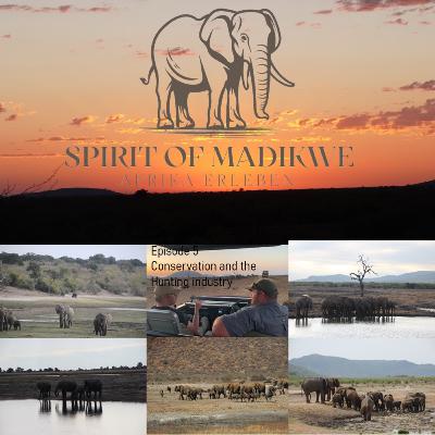 Episode 5 -Wildlife conservation and the Hunting industry