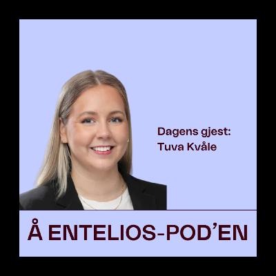 Ikke én vindturbin blir bygget i Norge i 2024