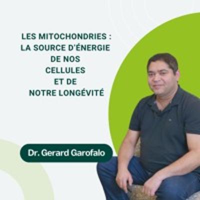 13: Les mitochondries : la source d’énergie de nos cellules et de notre longévité