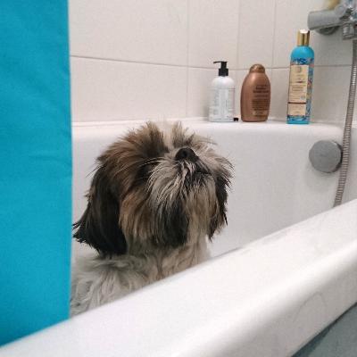 Кінець першого сезону та анонс другого