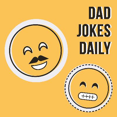 Someone’s Stolen My Toilet!? Someone’s Stolen My Toilet!?