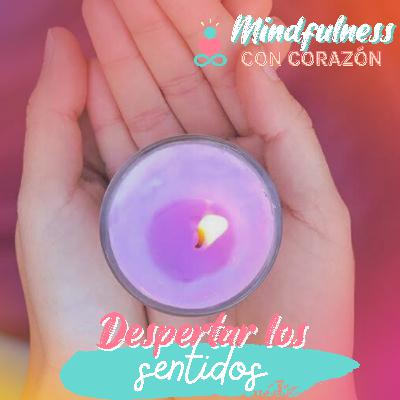 Despertar los sentidos Despertar los sentidos