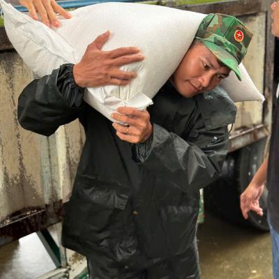 Tin trong nước - Quân đội bám địa bàn giúp nhân dân Gia Lai tái thiết cuộc sống sau lũ lịch sử