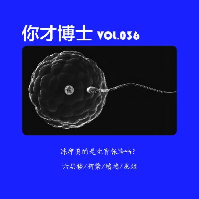 Vol.036冻卵是生育保险吗？关于冻卵、冻胚、冻卵巢那些事儿-六层楼/柯紫/墙墙/思煜
