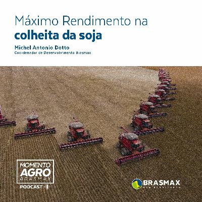 Momento AGRO Brasmax #16 - Máximo rendimento na colheita da soja