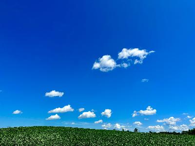 Let Everything Be Let Everything Be