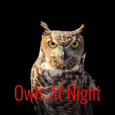 Brands, Tik Tok, Sports, Food, and Video Games