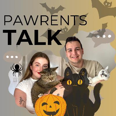 Folge 17 - #specialfolge Halloween - Mythen & der schwarze Kater 🐈‍⬛