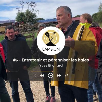 #3 - Entretenir les haies et pérenniser la ressource ligneuse, avec Yves Etignard