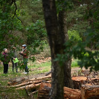 Landgoed De Hoort - Budel