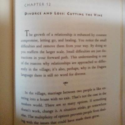 The Spirit of Intimacy by Sobonfu Somé, Chptr 12 - Divorce & Loss: Cutting The Vine