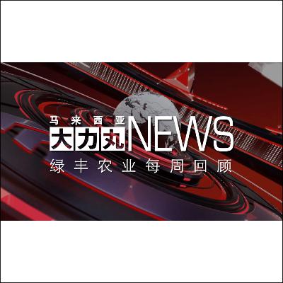 大力丸新聞#226