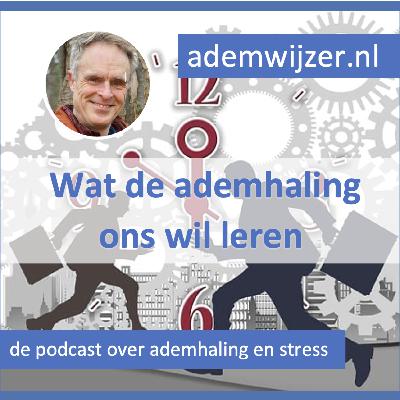 Wat de ademhaling ons wil leren