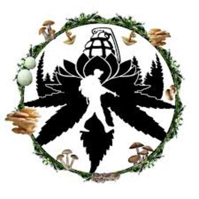 Colin Wells - VeteransWalkandTalk