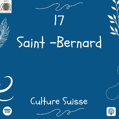 Episode 17 - Le Saint-Bernard