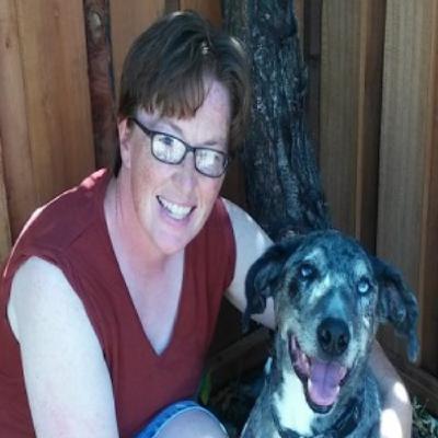 Should Pets Be Given As Gifts? - BRIGID WASSON