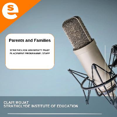 Strathclyde University Pilot Placement Programme: Staff