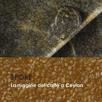 La ruggine del caffè a Ceylon