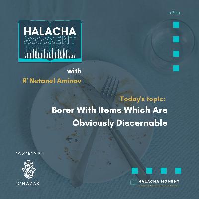 Borer With Items Which Are Obviously Discernable - Halacha Moment