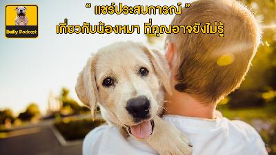 แชร์ประสบการณ์ เกี่ยวกับน้องหมาที่คุณอาจยังไม่รู้ The Cutedog's Podcast EP 7 แชร์ประสบการณ์ เกี่ยวกับน้องหมาที่คุณอาจยังไม่รู้ The Cutedog's Podcast EP 7