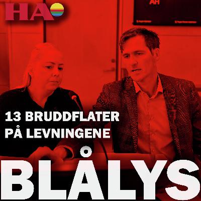 Ord vi aldri før har hørt i sal 8 i Hamar tinghus
