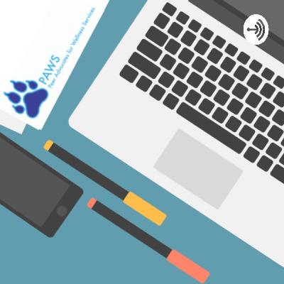 Bring the Virtual Balance: Diversity Talk