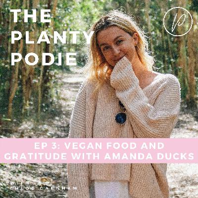 Amanda Ducks: Vegan Food and Gratitude Amanda Ducks: Vegan Food and Gratitude