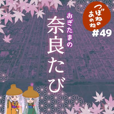 ＃４９　おぎたまの奈良たび