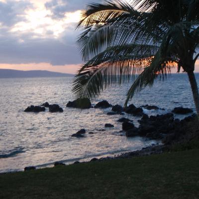 Live on the 4th of July!