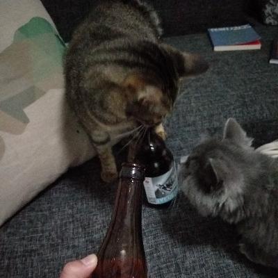 不能回家过年，你是不是松了一口气