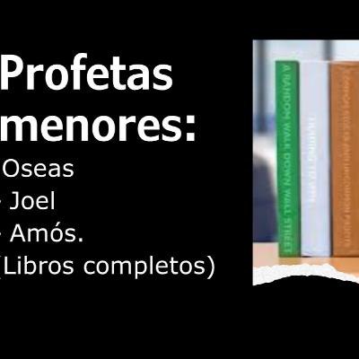 Día 56: Profeta Amós (1 al 9). Plan de lectura de la biblia. Antiguo Testamento