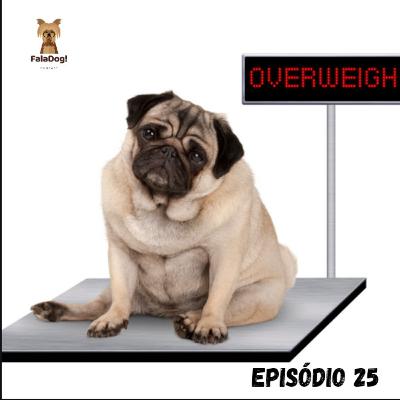 Meu cachorro está acima do peso?