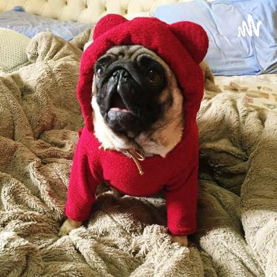 Xixi E Coco No Lugar Certo  (Trailer)