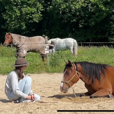 Podcast #2 Série Coucher – Le jour où ton cheval sent vraiment le sol