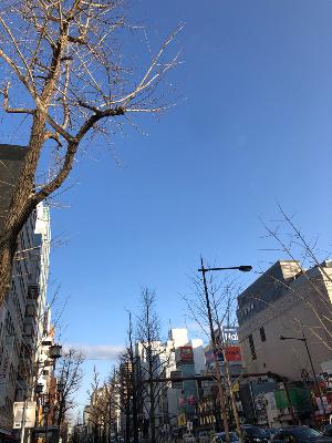 発達障害への対応、思春期からでは遅い？（大丈夫です♪） from Radiotalk