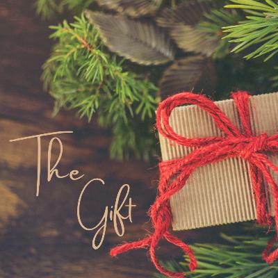 A Gift Not To Be Missed | The Gift #2  |  Louis Scheepers