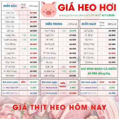 GIÁ LỢN HƠI 6/1/2026 ✅ GIÁ THỊT HEO HÔM NAY & TIN TỨC CHĂN NUÔI #GIAHEOHOI #GIATHITHEO #TET2026