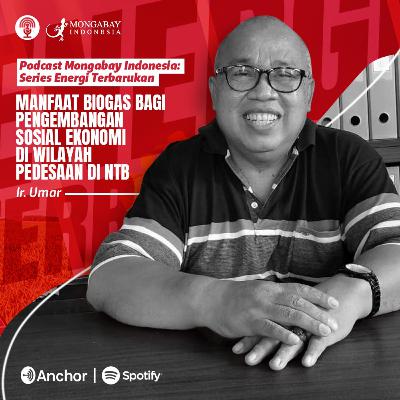 Podcast Energi Terbarukan: Manfaat Biogas Bagi Pengembangan Sosial Ekonomi di Wilayah Pedesaan di NTB, Bersama Ir Umar