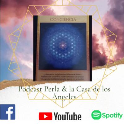Día #8 Conciencia