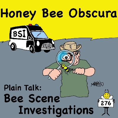 Plain Talk: BSI - Bee Scene Investigation (276) Plain Talk: BSI - Bee Scene Investigation (276)