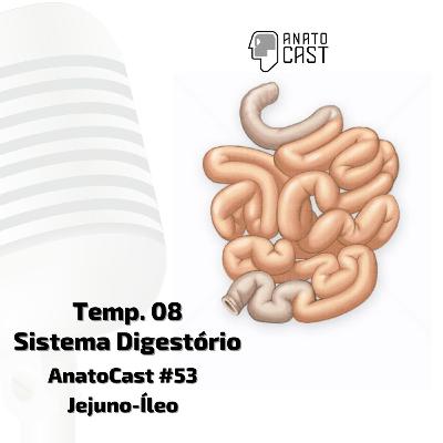 AnatoCast #53 - Jejuno-Íleo AnatoCast #53 - Jejuno-Íleo
