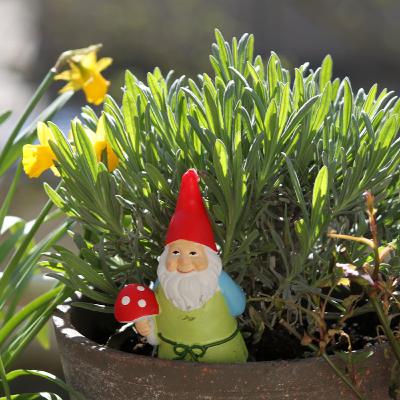 Garden Gnomes