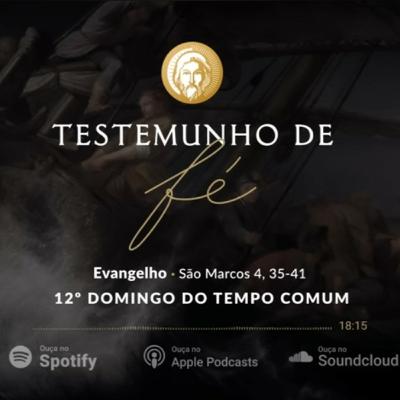 Homilia dominical 12° do tempo comum