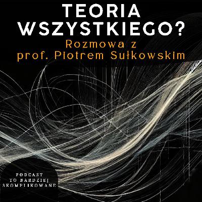 #20 - Teoria strun i związek fizyki z matematyką | prof. Piotr Sułkowski