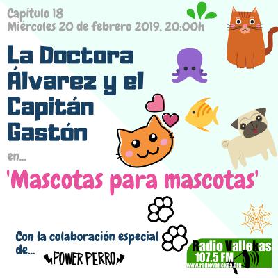 Mascotas para masocas Mascotas para masocas